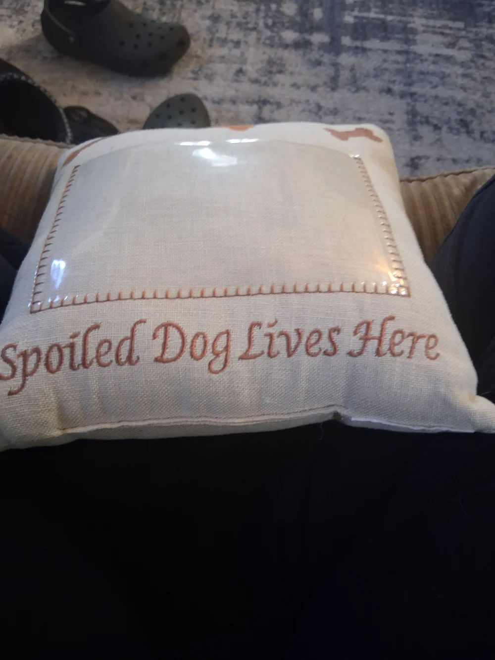 Cream Dog Pillow with Brown Bone Accent - Pet Bedding Cushion